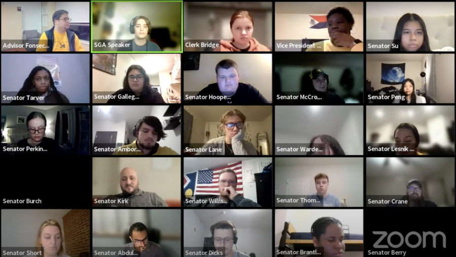 Screenshot from Wednesday's student government meeting, where the student senate voted to censure a student senator after a false statement